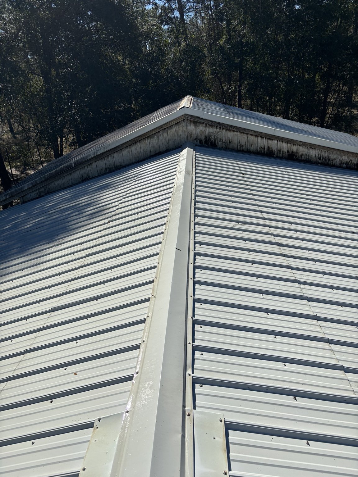 Metal Roof Washing after cleaning