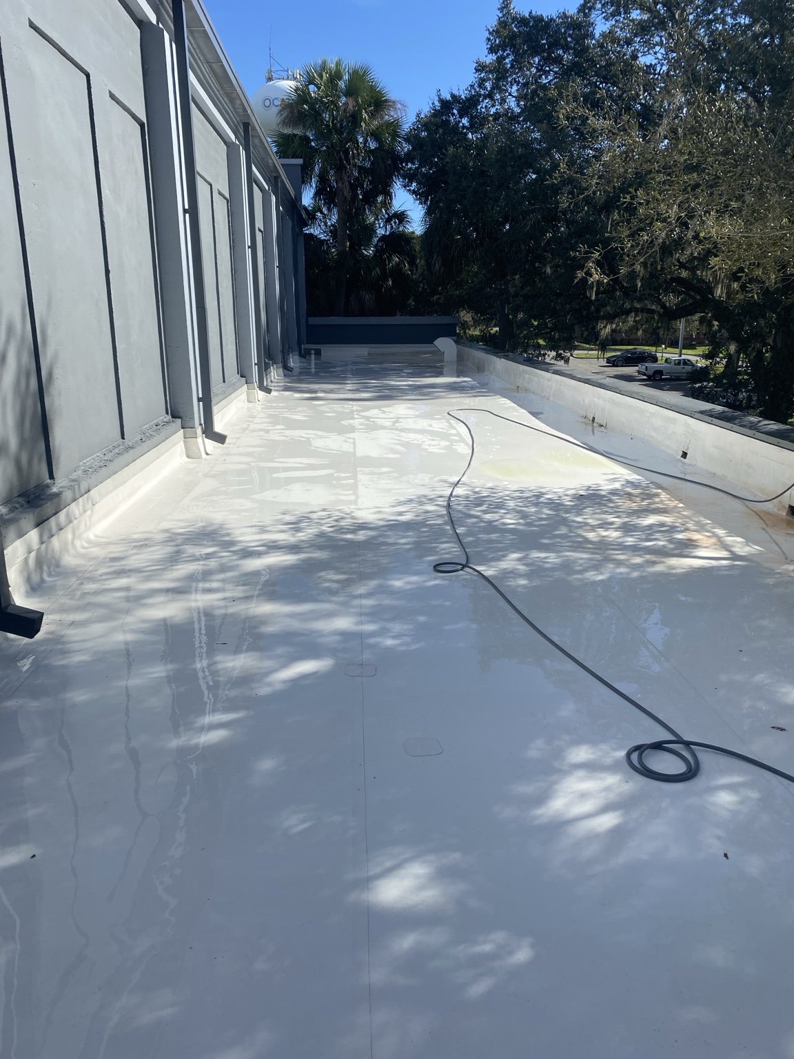 TPO roof cleaning project