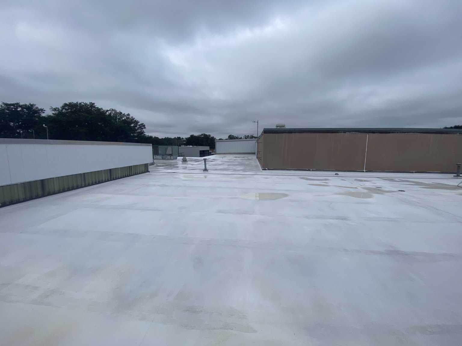 TPO roof cleaning project